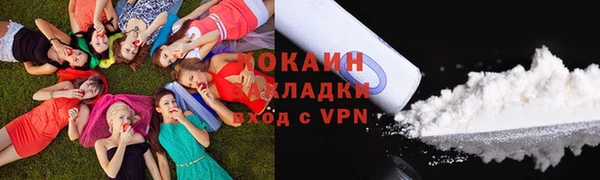 дмт Ельня