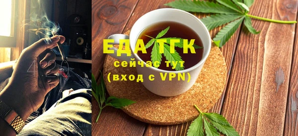 дмт Ельня