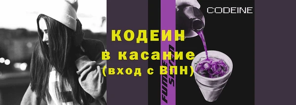 дмт Ельня